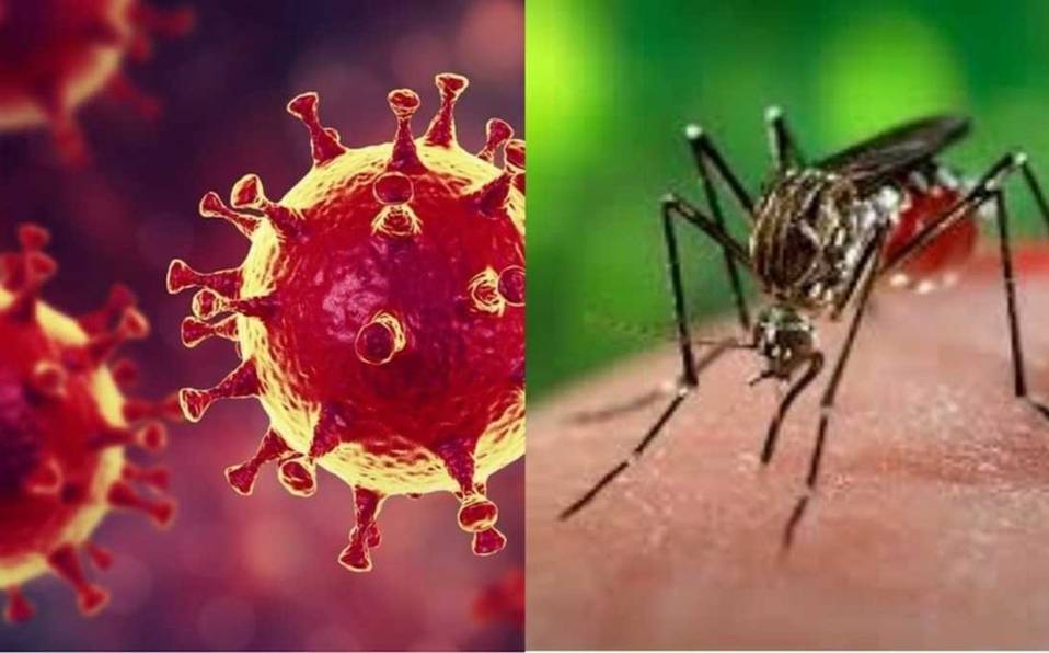 Ambos virus pueden comprometer la salud y ser mortales. Foto: Gentileza