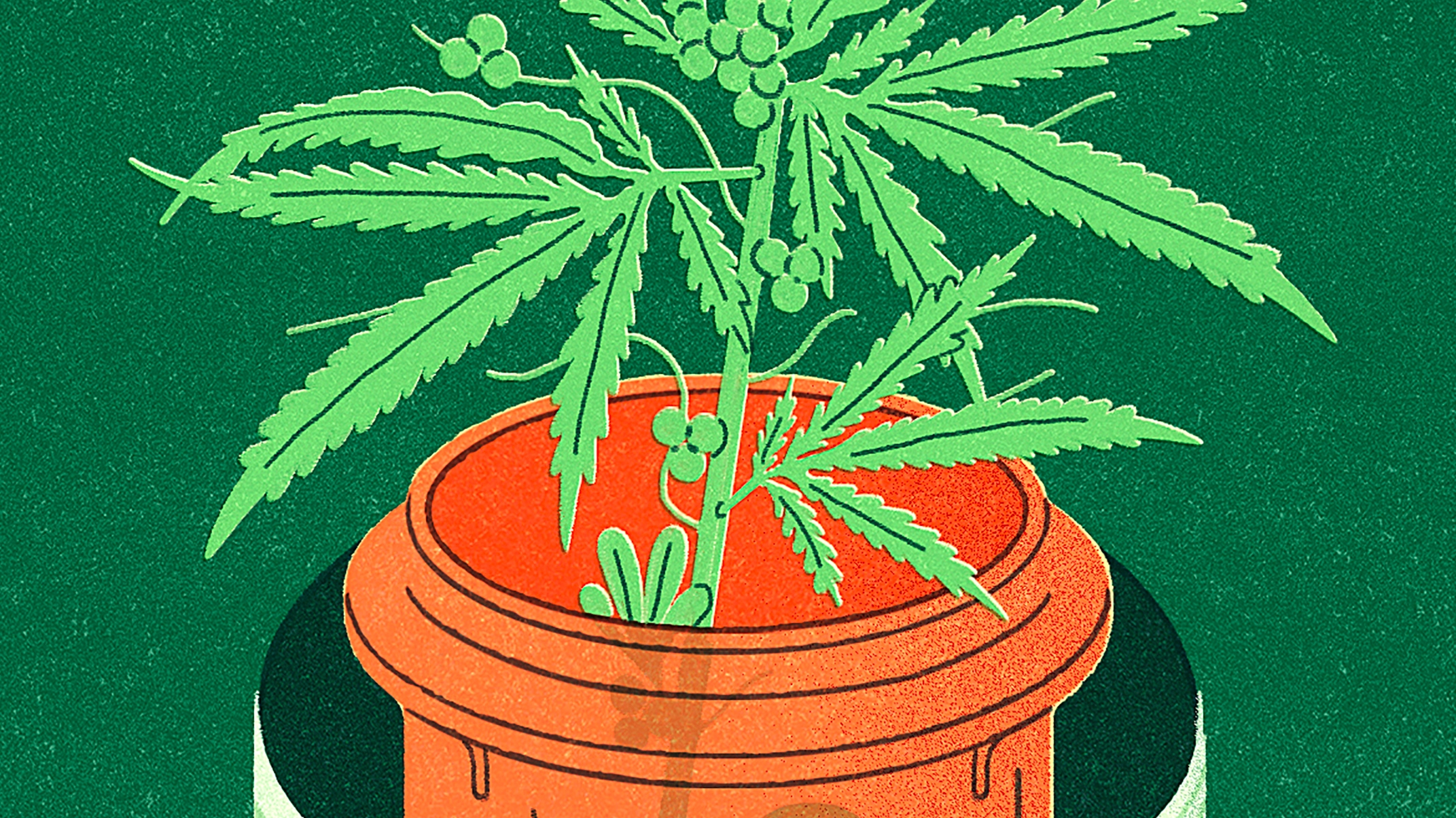 La marihuana medicinal se convirtió en un fenómeno en los Estados Unidos. Foto: Gracia Lam/The New York Times